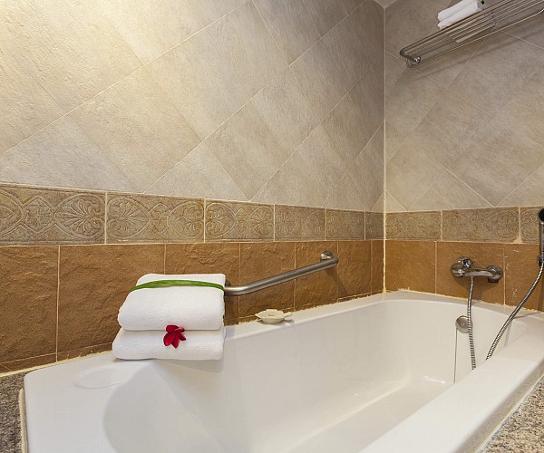Deluxe Two Bedrooms