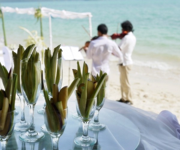 Wedding